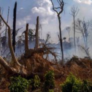 POURQUOI L’AMAZONIE BRÛLE-T-ELLE ?